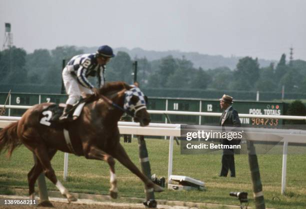 Canadian jockey Ron Turcotte riding American thoroughbred Secretariat , in blue-and-white-checkered blinders, to victory in the Belmont Stakes at...