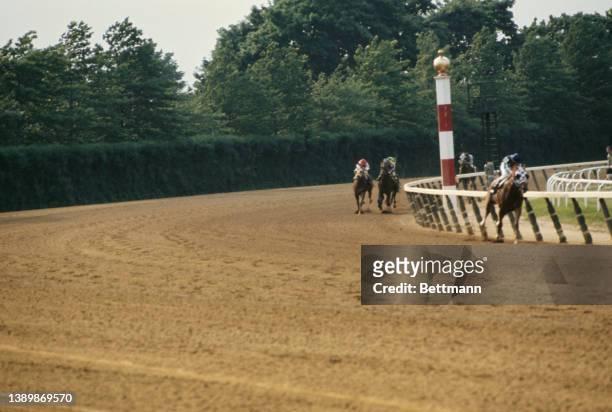 Canadian jockey Ron Turcotte riding American thoroughbred Secretariat , in blue- and white-checkered blinders, to victory in the Belmont Stakes at...