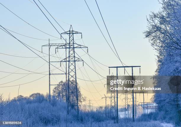 electricity pylons and power lines on winter afternoon in very cold temperature. frosted trees and country side. afternoon sky. - elektricitet bildbanksfoton och bilder