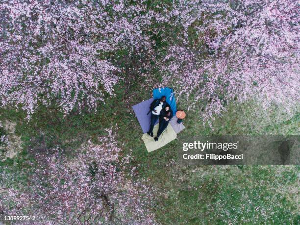 aerial view of a young adult couple spending time together during a picnic - romantic picnic stockfoto's en -beelden