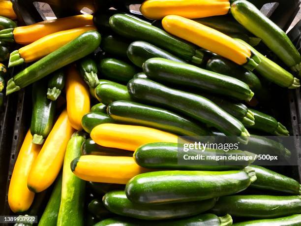 yellow and green mixed zucchini,full frame shot of vegetables in market,st augustine,florida,united states,usa - courgette stock pictures, royalty-free photos & images