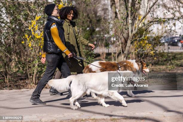 two women walking their pet dogs in a pack - pet leash stockfoto's en -beelden