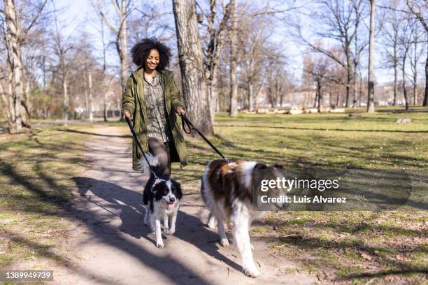 woman dog walker with two pet dogs at public park - dog walking stock pictures, royalty-free photos & images