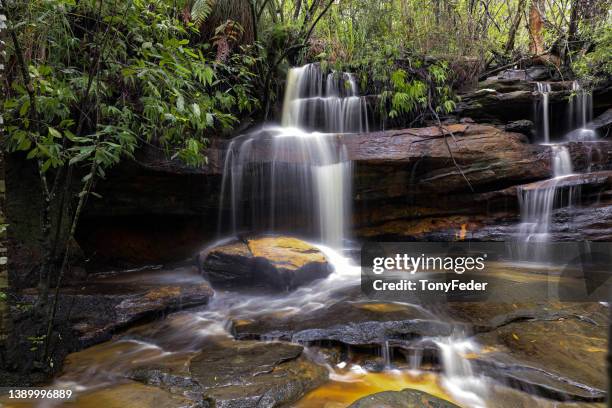 somersby falls - australian waterfalls stock pictures, royalty-free photos & images