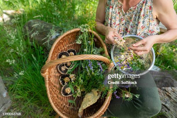 preparación de alimentos forrajeros veganos - comida flores fotografías e imágenes de stock