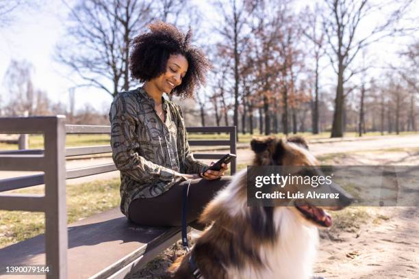 woman on a park bench using her phone with her pet dog sitting by - woman dog bench stock pictures, royalty-free photos & images