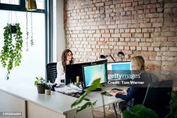 two small business owners working together at computer desks - small office stock pictures, royalty-free photos & images