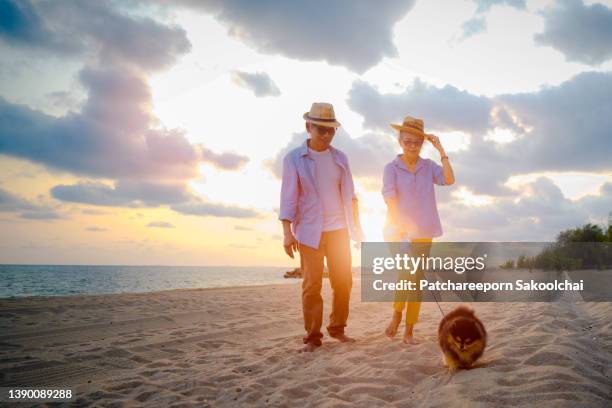 at aged on the route - monogamous animal behavior fotografías e imágenes de stock