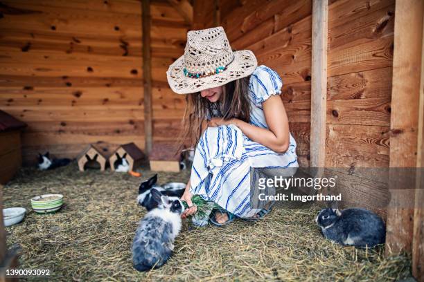 teenage girl feeding bunnies in a farm - agritoerisme stockfoto's en -beelden