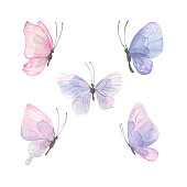 Watercolor illustration of delicate pink-lilac butterflies. A set of different shapes and colors. Airy, light, gentle. For banner design, postcards, clothing, design, posters, wallpaper