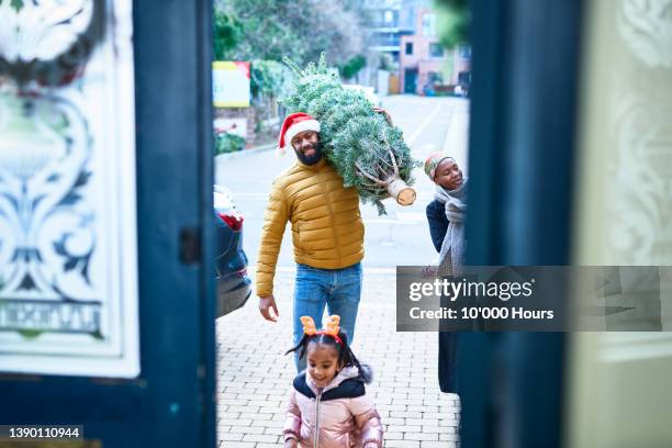 mid adult man in santa hat carrying christmas tree towards open front door with wife and young daughter - open day 4 stock pictures, royalty-free photos & images