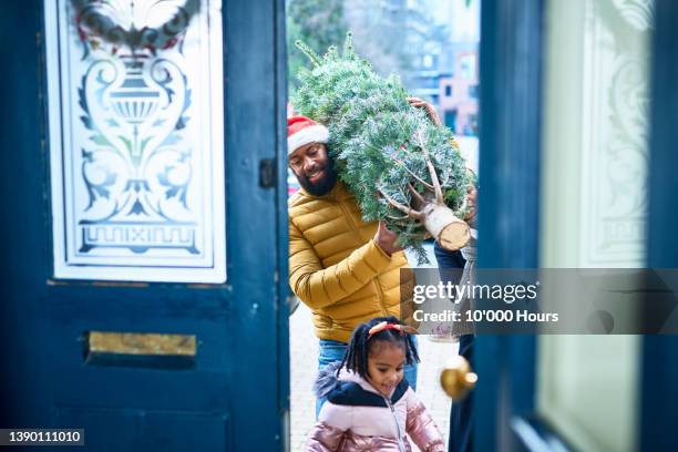 mid adult man in santa hat carefully carrying christmas tree through open doorway with daughter ahead of him - open day 4 fotografías e imágenes de stock