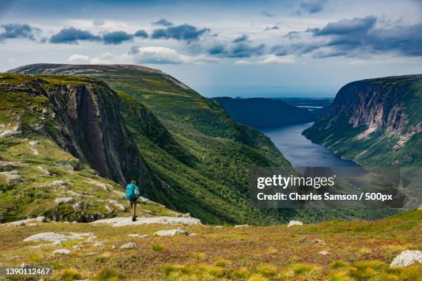 rear view of hiker standing on mountain against sky,newfoundland and labrador,canada - newfoundland and labrador stock pictures, royalty-free photos & images