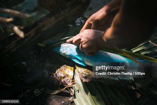 cropped hand of man preparing fish for seafood,upolu,samoa - polynesia stock pictures, royalty-free photos & images