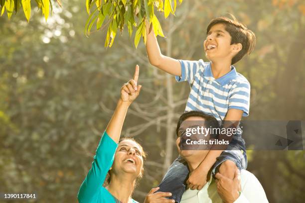 parents with son having fun picking up green leaves of tree - india couple lift stock pictures, royalty-free photos & images