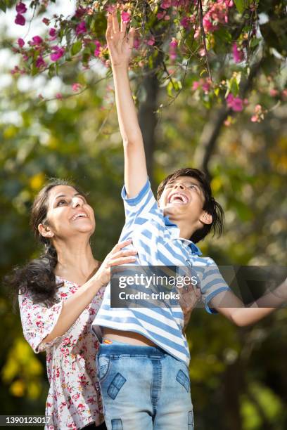 mother picking up son to pluck fresh flowers of tree - india couple lift stock pictures, royalty-free photos & images