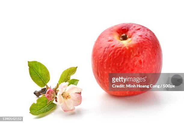 apple fruit flower,close-up of apple with apple against white background - apple slice photos et images de collection