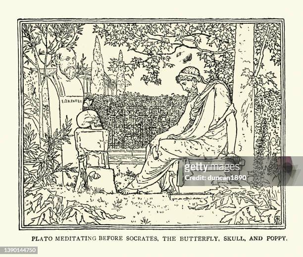 plato meditating before socrates, the butterfly, skull and poppy, ancient greek philosopher - philosophy stock illustrations