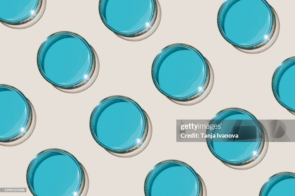 Pattern of Petri dishes with blue liquid on beige background. Scientific research, Laboratory equipment, bio science, bio chemistry. Top view, flat lay.