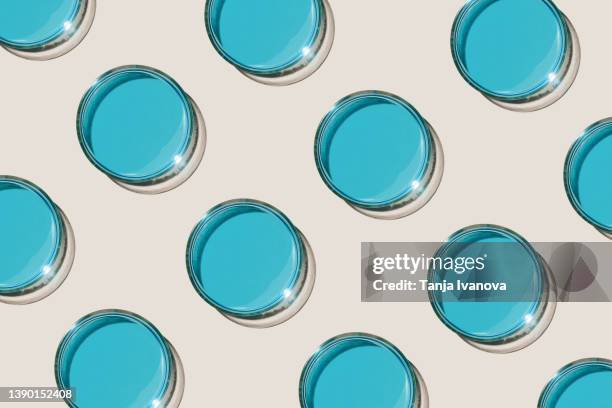 pattern of petri dishes with blue liquid on beige background. scientific research, laboratory equipment, bio science, bio chemistry. top view, flat lay. - boîte de pétri photos et images de collection