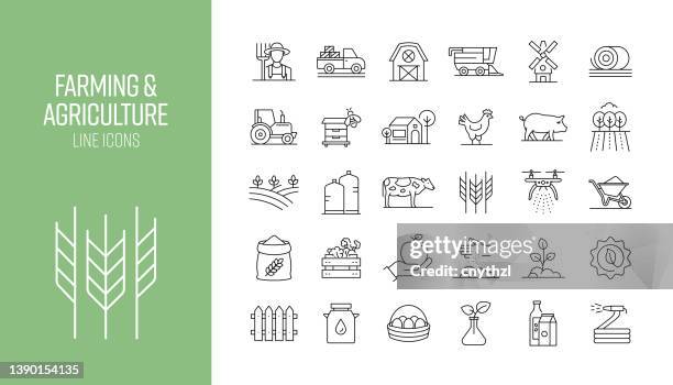 ilustraciones, imágenes clip art, dibujos animados e iconos de stock de conjunto de iconos de línea relacionados con la agricultura y la agricultura. colección de símbolos de contorno - cereal plant