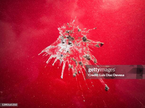 seagull droppings in a car - stool stockfoto's en -beelden