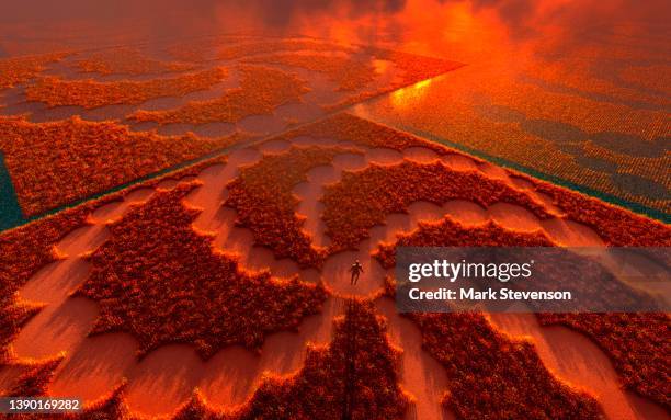 ilustrações, clipart, desenhos animados e ícones de walking through a crop circle - círculo nas plantações