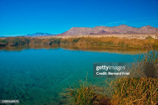 Black Rosta Spring 38 Black Rock Hot Springs Stock Photos, High-Res Pictures, and Images ...