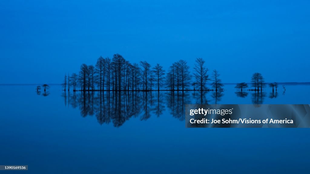 Trees reflected on Lake Mattamuskeet, Mattamuskeet National Wildlife Refuge, Swan Quarter, North Carolina