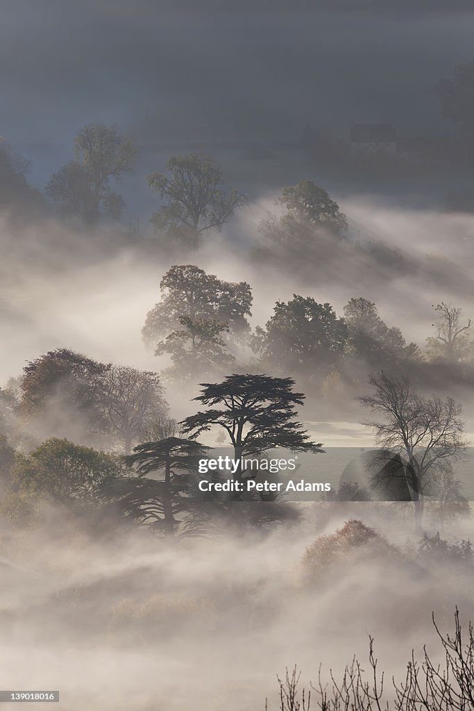 Misty Autumn Morning, Uley, Gloucestershire, UK