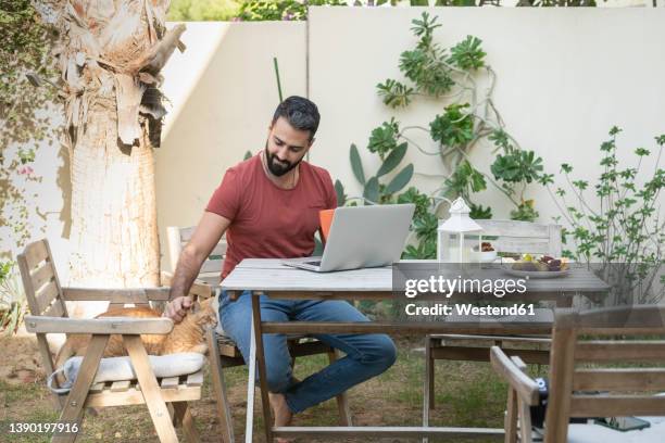 smiling man with laptop stroking cat sitting on chair in garden - emirati guy using laptop stock-fotos und bilder