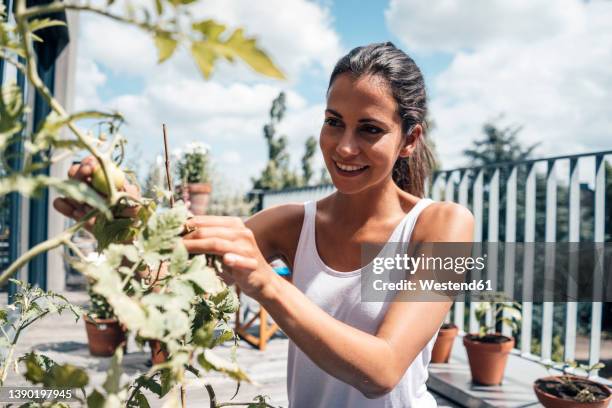 happy beautiful woman touching leaf of potted plant in balcony on sunny day - urban garden 個照片及圖片檔