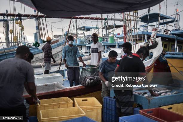 Fishermen unload a catch, after a month at sea, at a harbour on April 06, 2022 in Hikkaduwa, Sri Lanka. Local fishermen say the country’s ongoing...