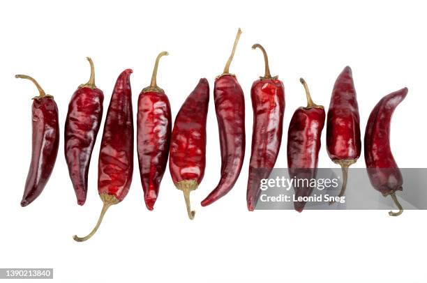 various red dried chili peppers in row on white background isolated - dried food stock pictures, royalty-free photos & images