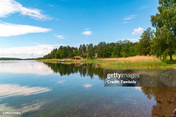 sweden, loftahammar, grassy coastline - kalmar bildbanksfoton och bilder