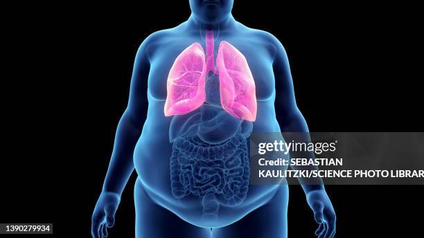 stockillustraties, clipart, cartoons en iconen met obese man's lung, illustration - ademhalingsstelsel