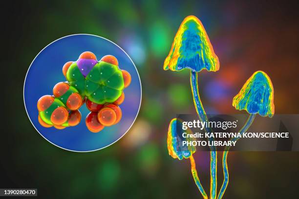 magic mushrooms and psilocybin molecule, illustration - atomic imagery stock illustrations