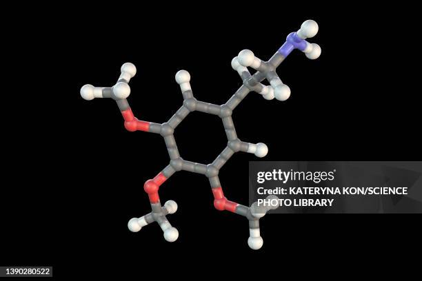 mescaline drug molecule, illustration - peyote cactus stock illustrations