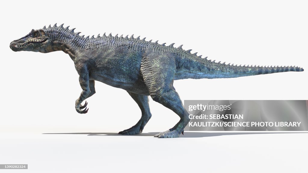 Baryonyx, illustration