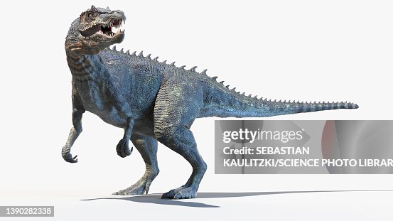 Baryonyx, illustration Baryonyx, illustration