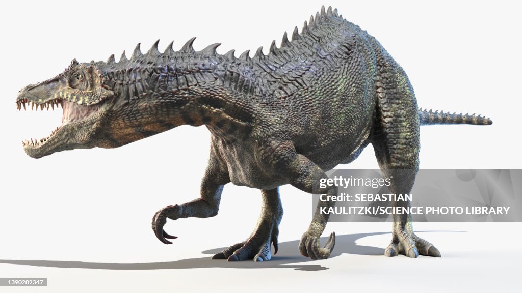Baryonyx, illustration
