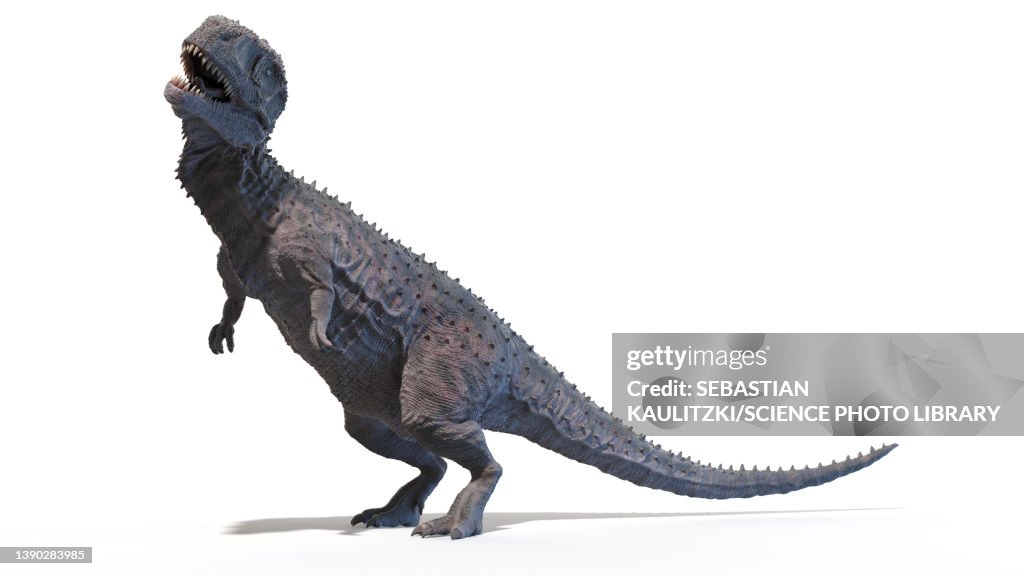 Rajasaurus, illustration