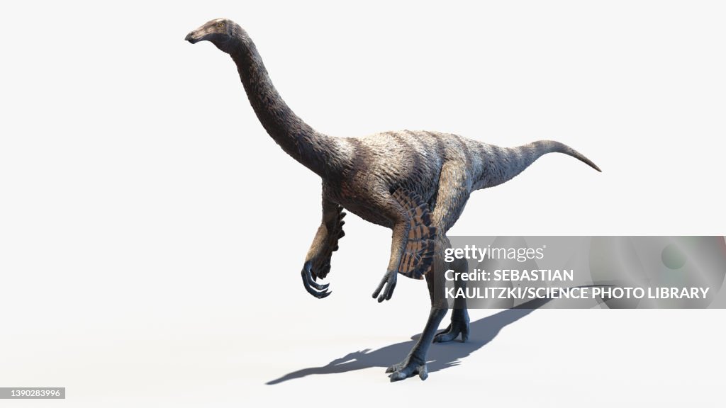 Ornithomimus, illustration