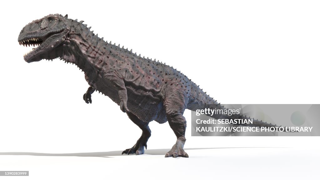 Rajasaurus, illustration