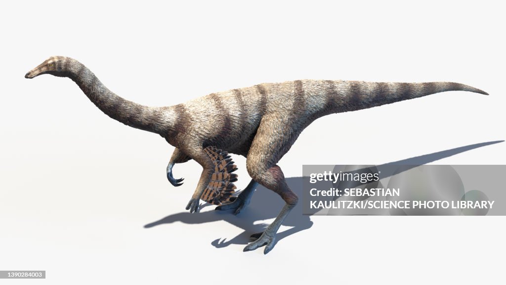 Ornithomimus, illustration