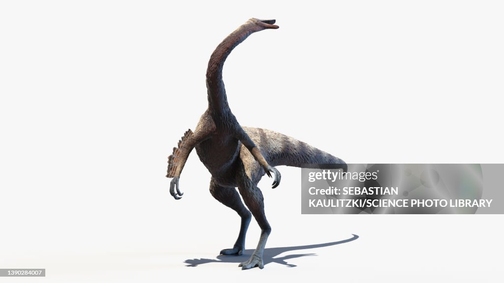 Ornithomimus, illustration
