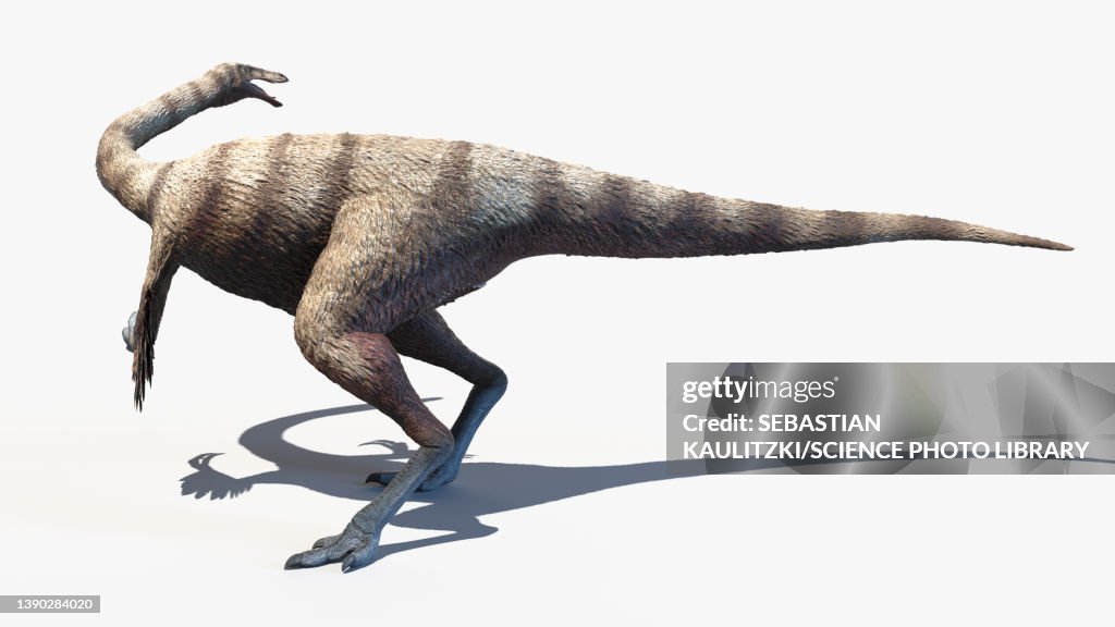 Ornithomimus, illustration