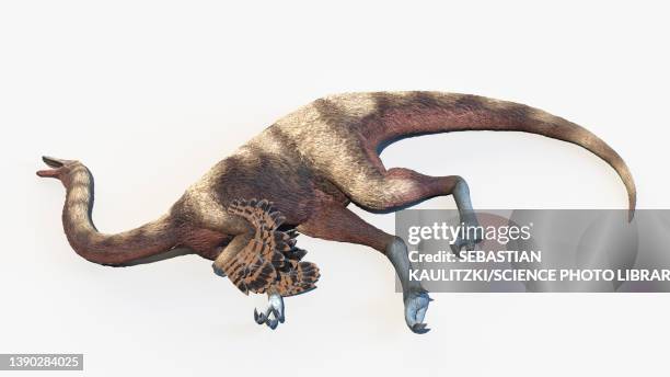 Ornithomimus Illustration High-Res Vector Graphic