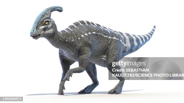 parasaurolophus, illustration - ornithischia stock illustrations