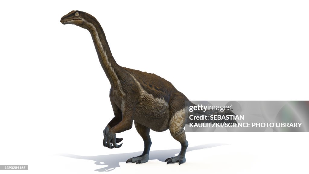 Therizinosaurus, illustration